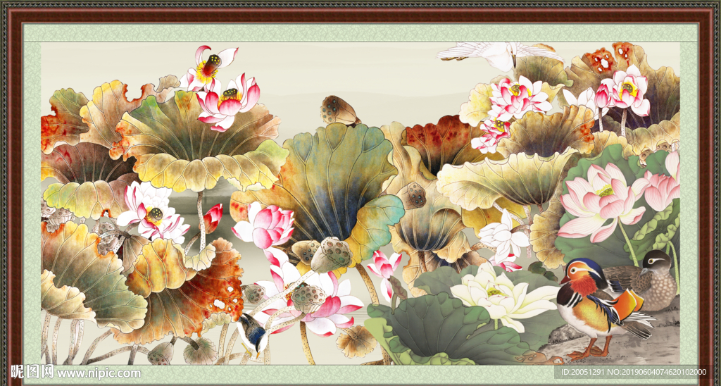 国画荷花