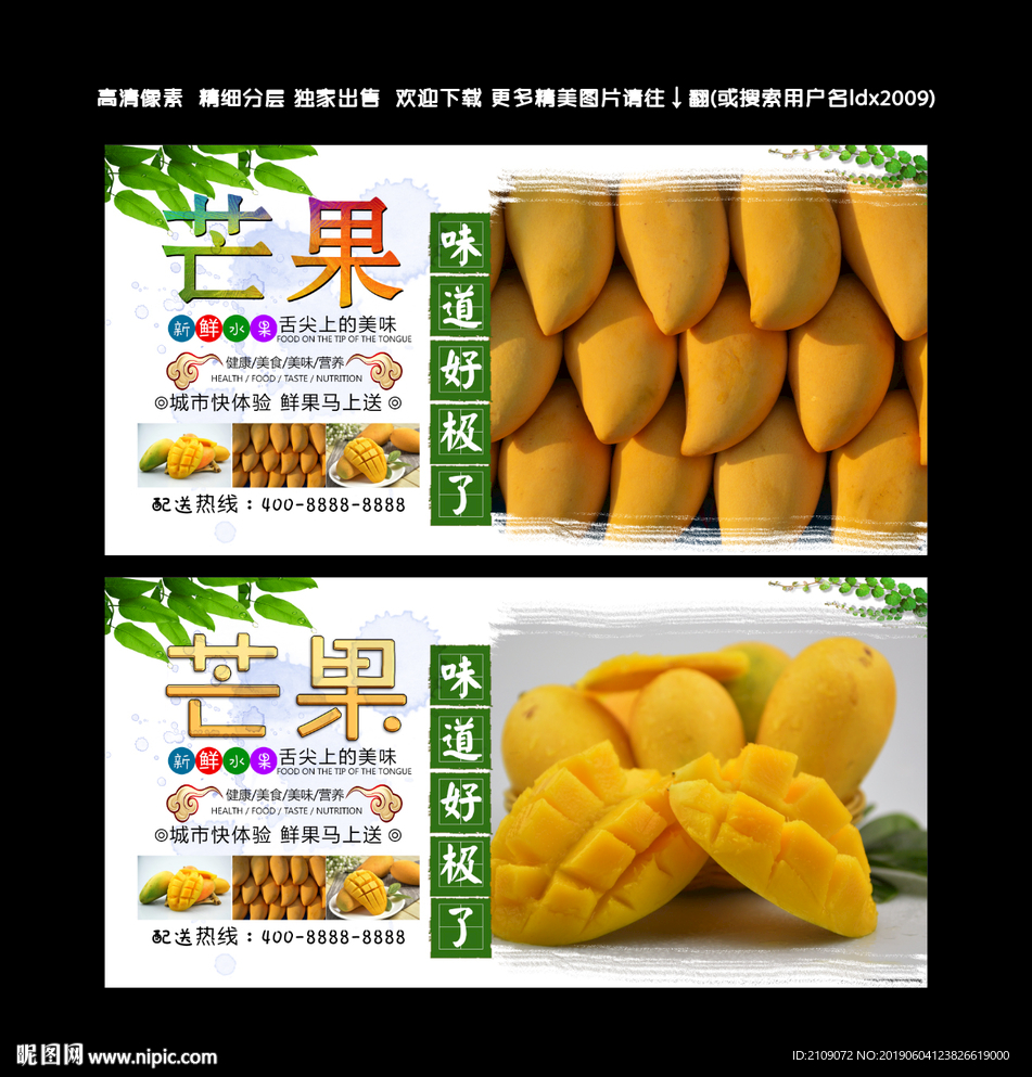 芒果