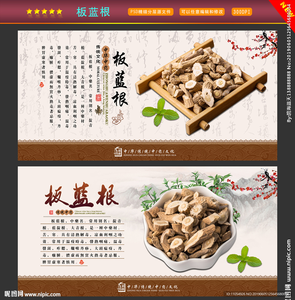 板蓝根