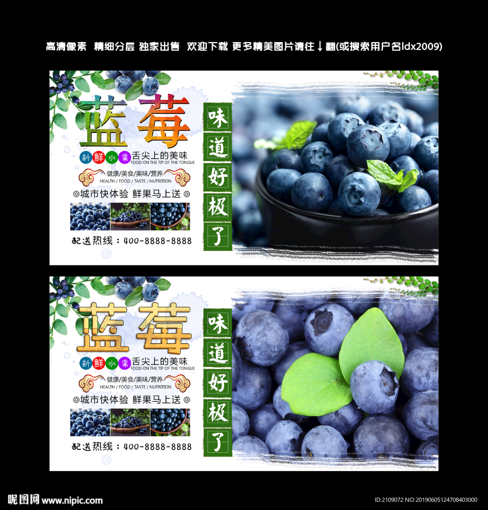 蓝莓