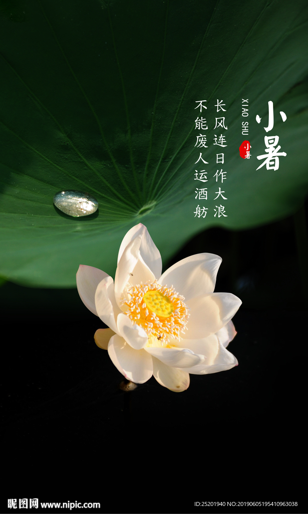 小暑节气