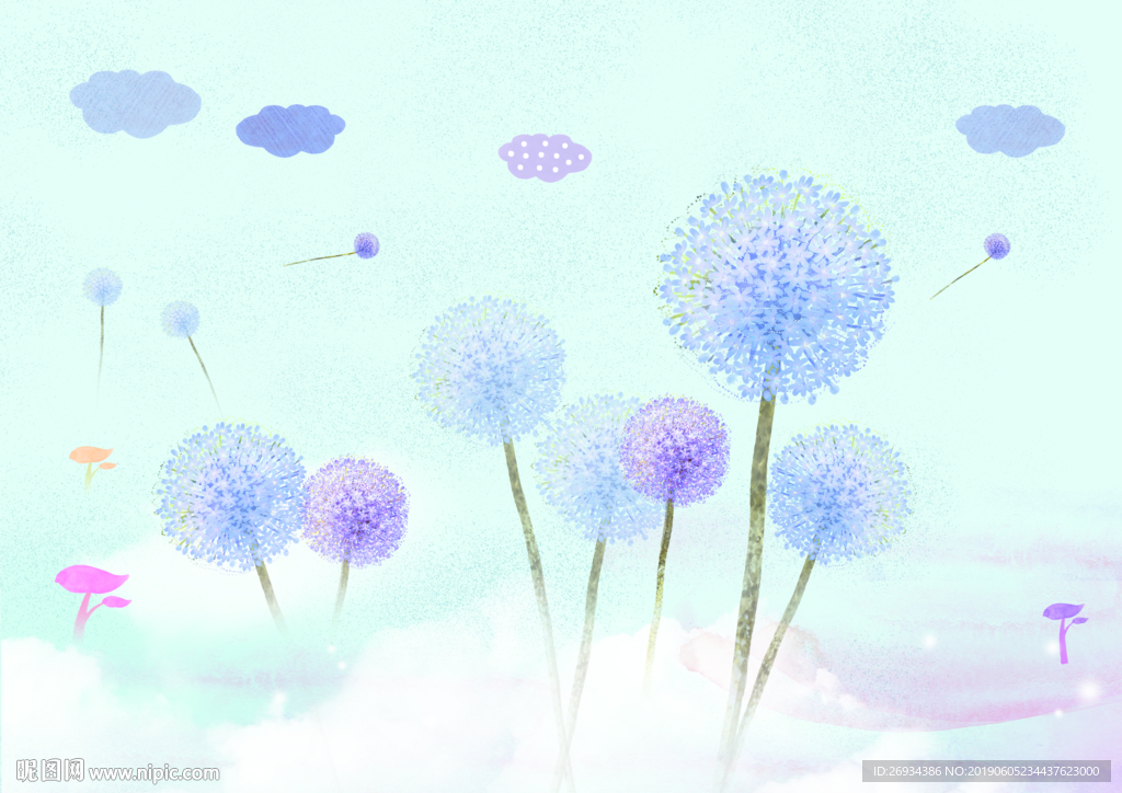 蒲公英