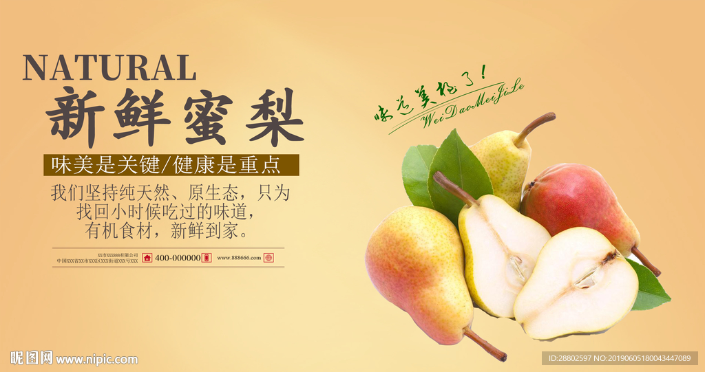 蜜梨