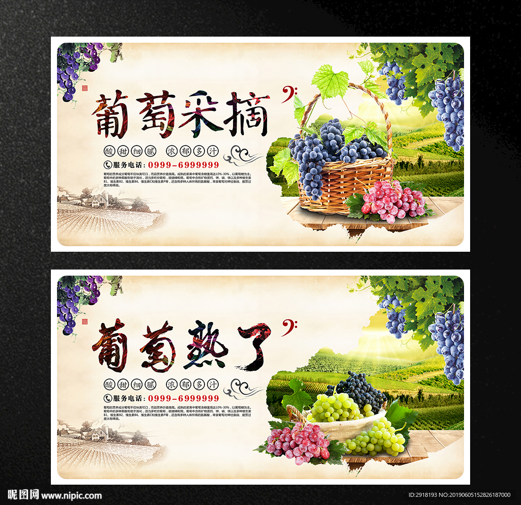 葡萄