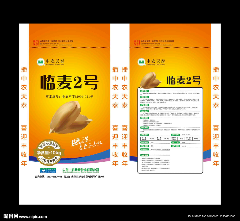 小麦种子 平面展开效果图