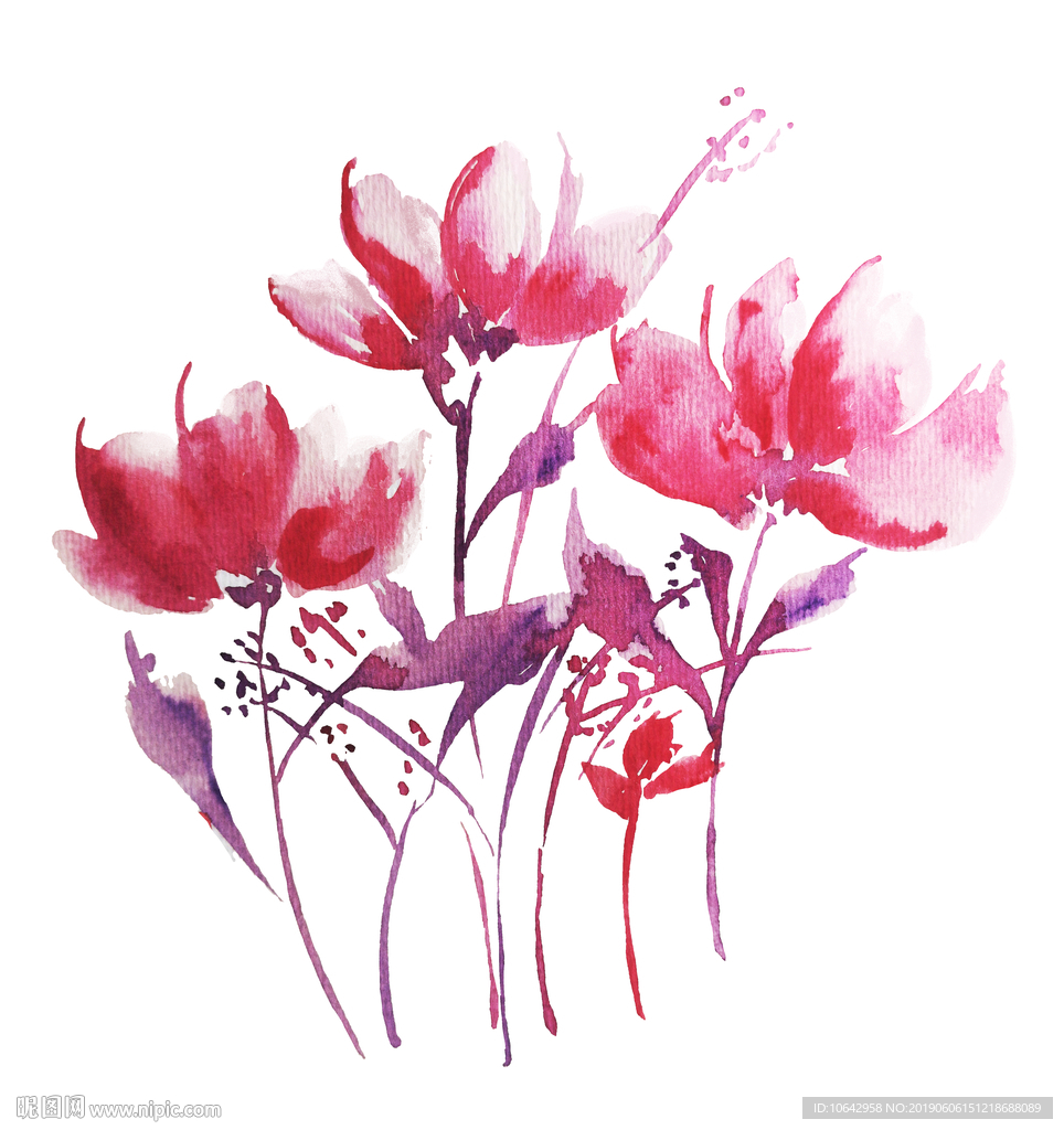 水彩清新花卉插画