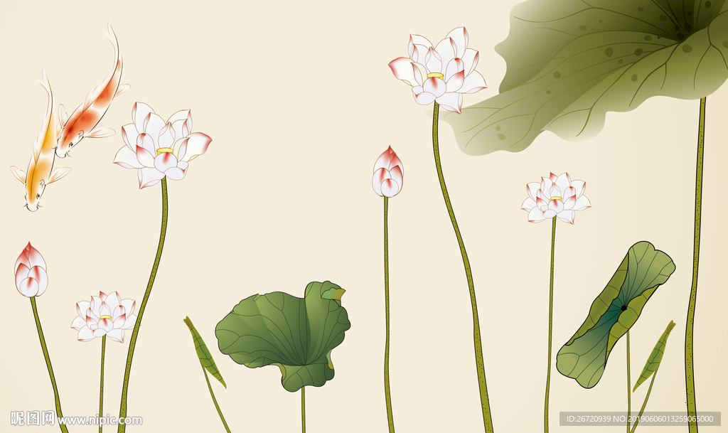 荷花