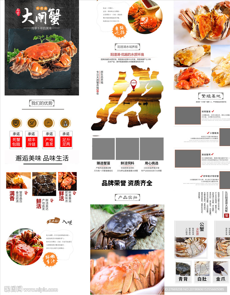 大闸蟹详情页