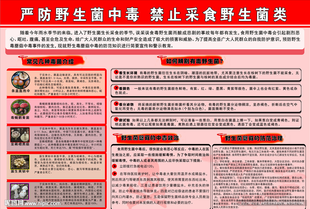 严防野生菌中毒 禁止采食野生菌