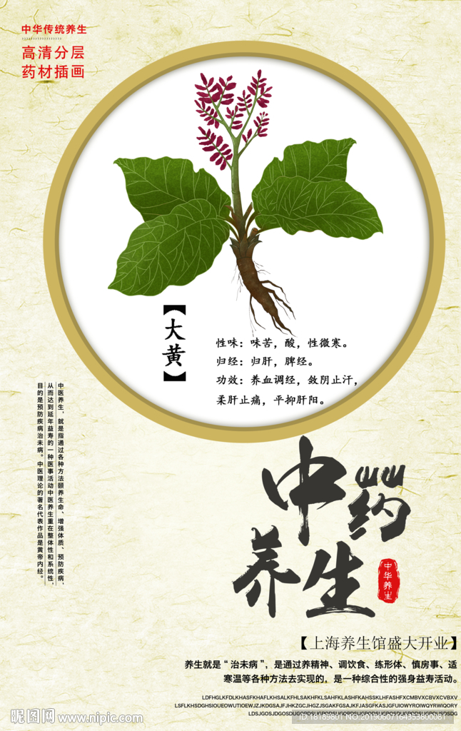手绘大黄