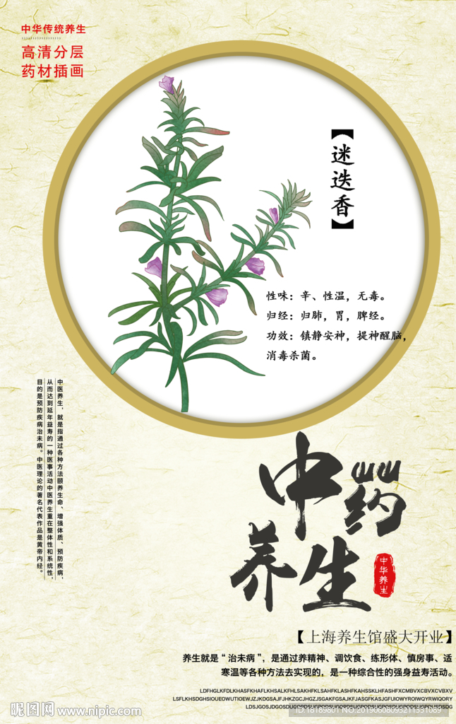 手绘迷迭香