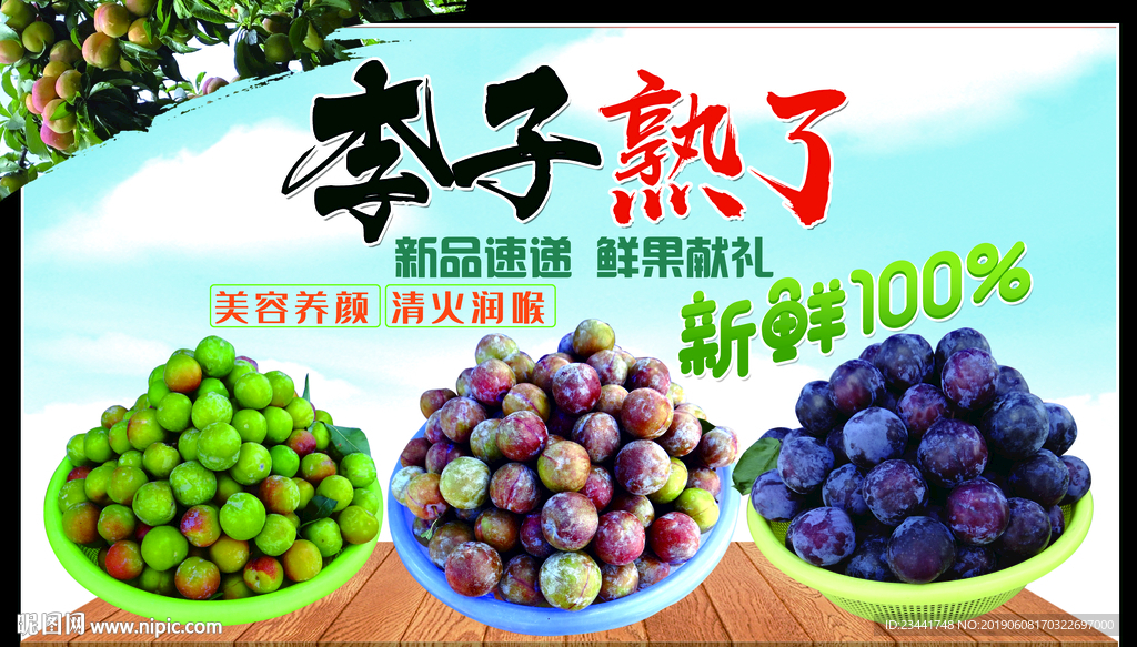 李子熟了