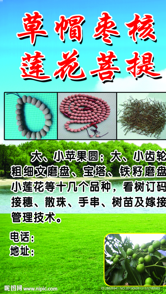 提子