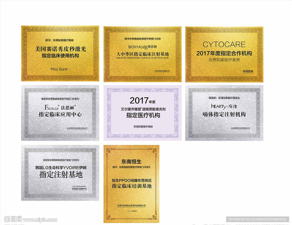 荣誉证书 医美证书
