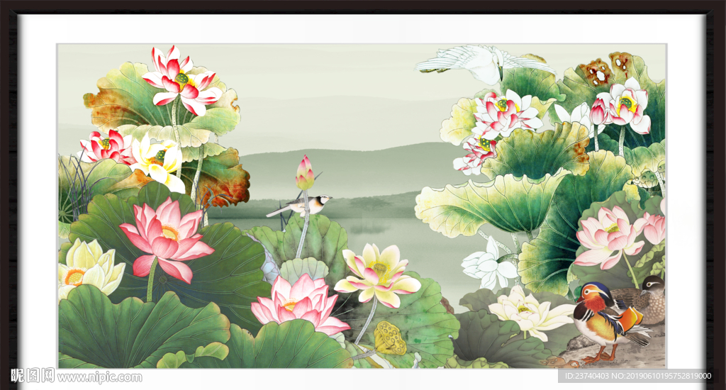荷花图