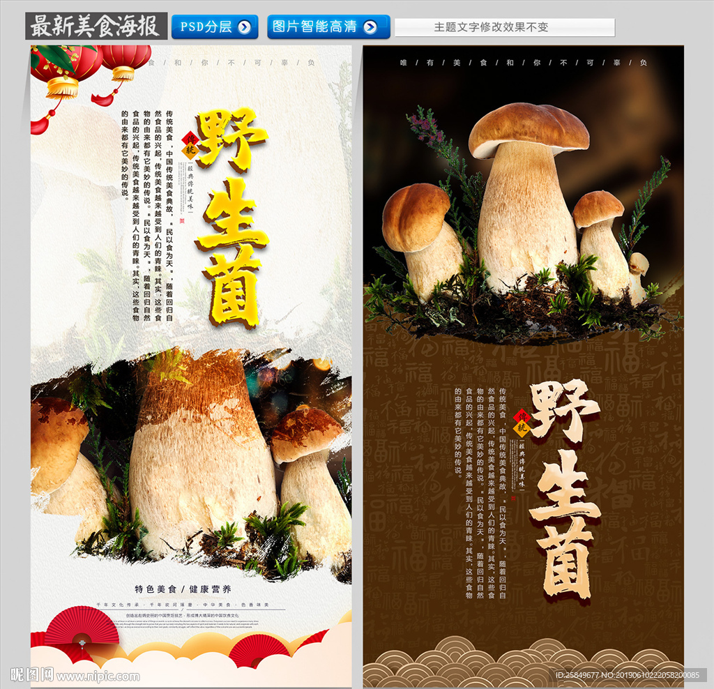 野生菌
