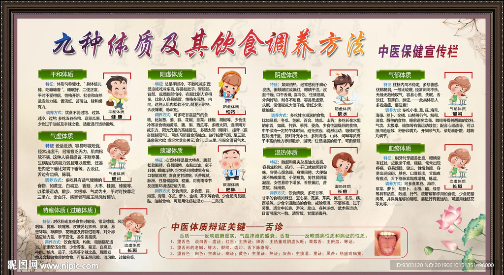 中医九种体质辨识