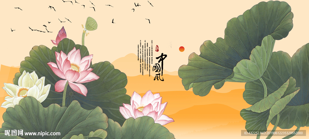 荷花