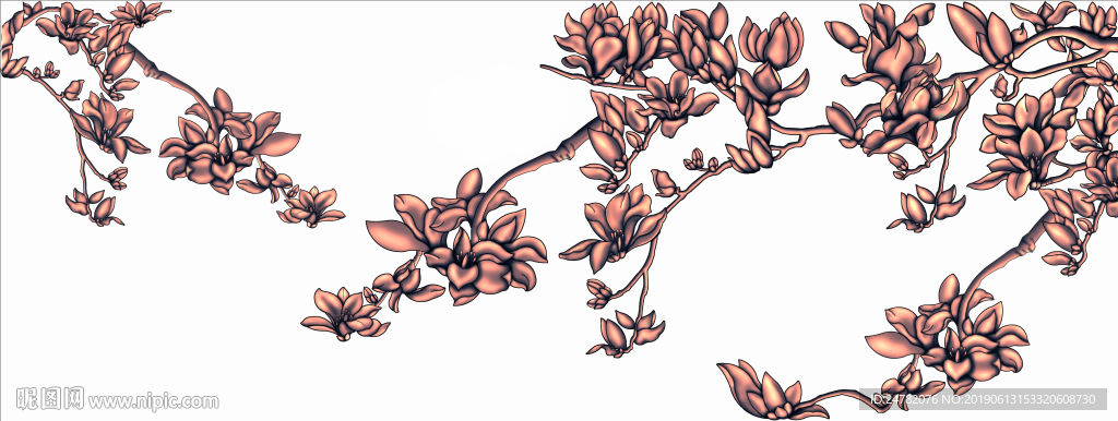 玉兰花