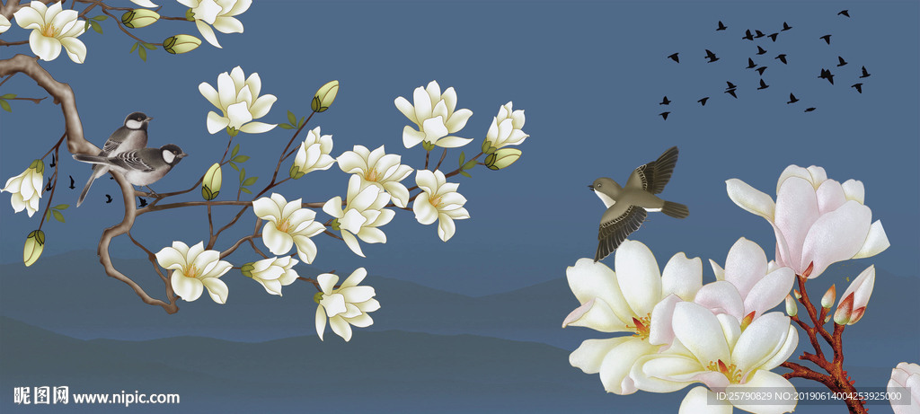 玉兰花