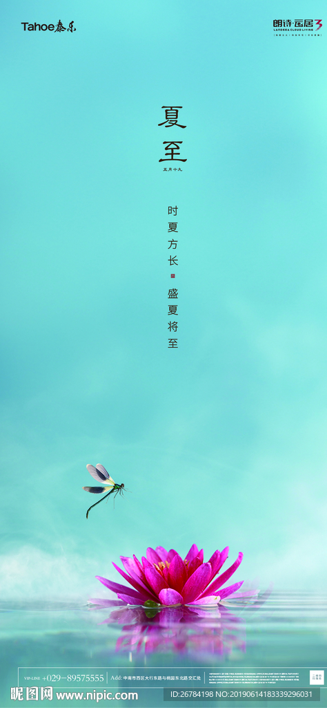 夏至海报