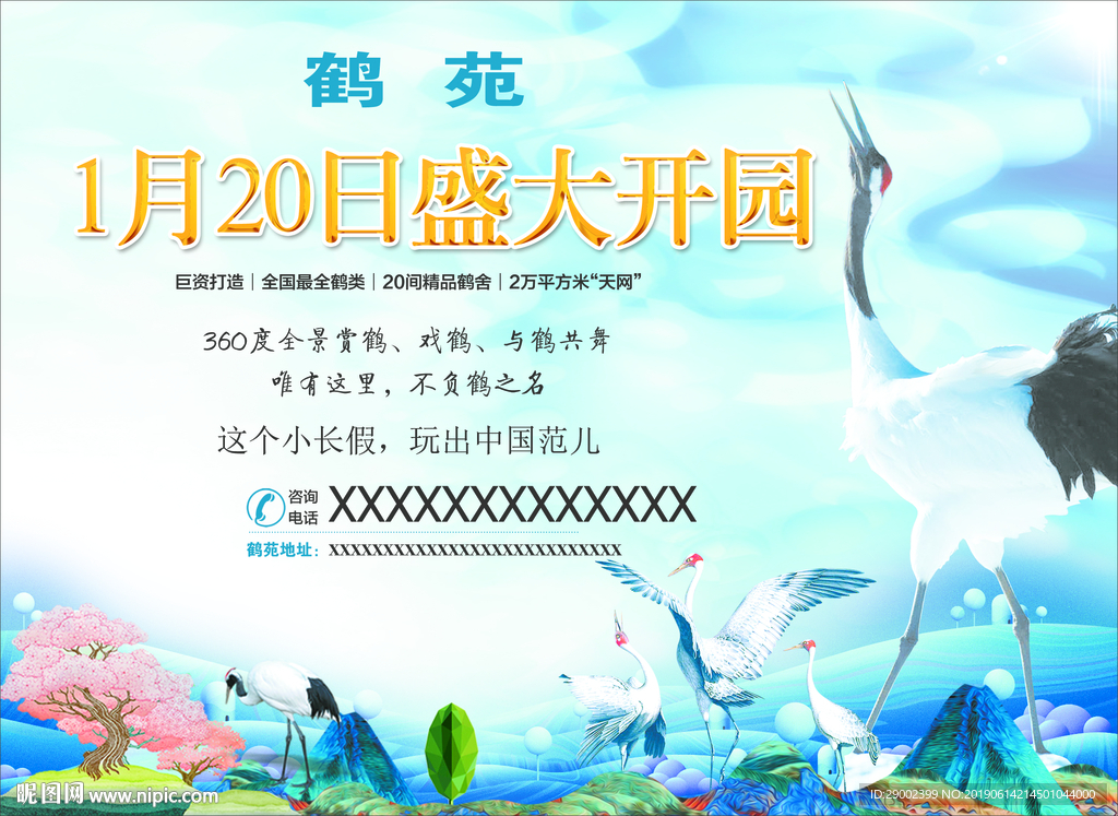 仙鹤灰鹤丹顶鹤