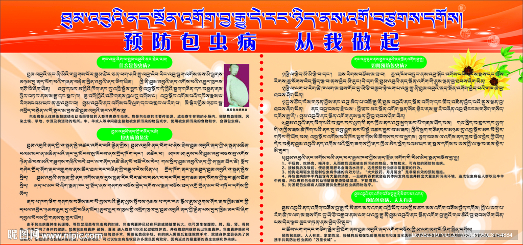 预防包虫病