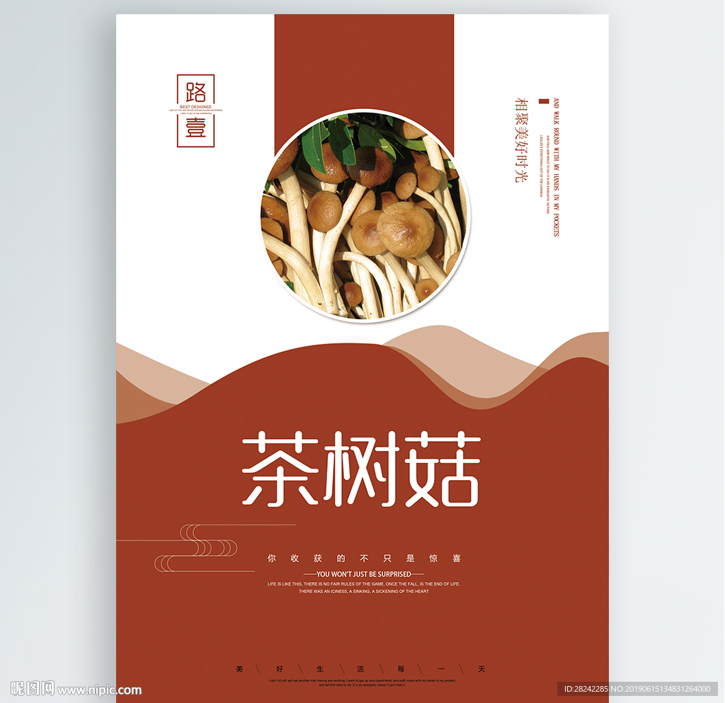 茶树菇
