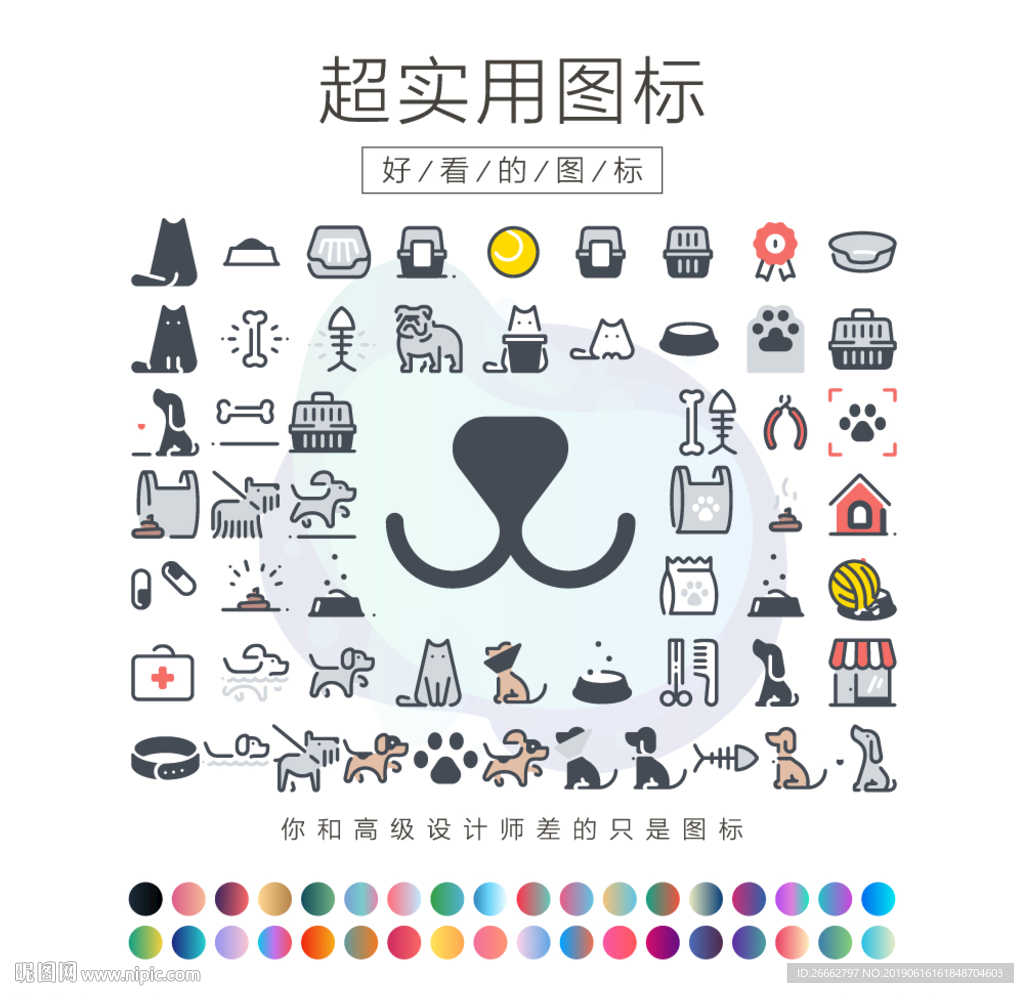 宠物