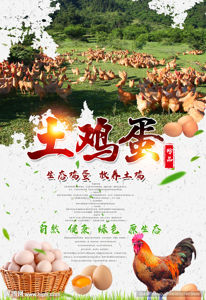 土鸡蛋  权萌萌4