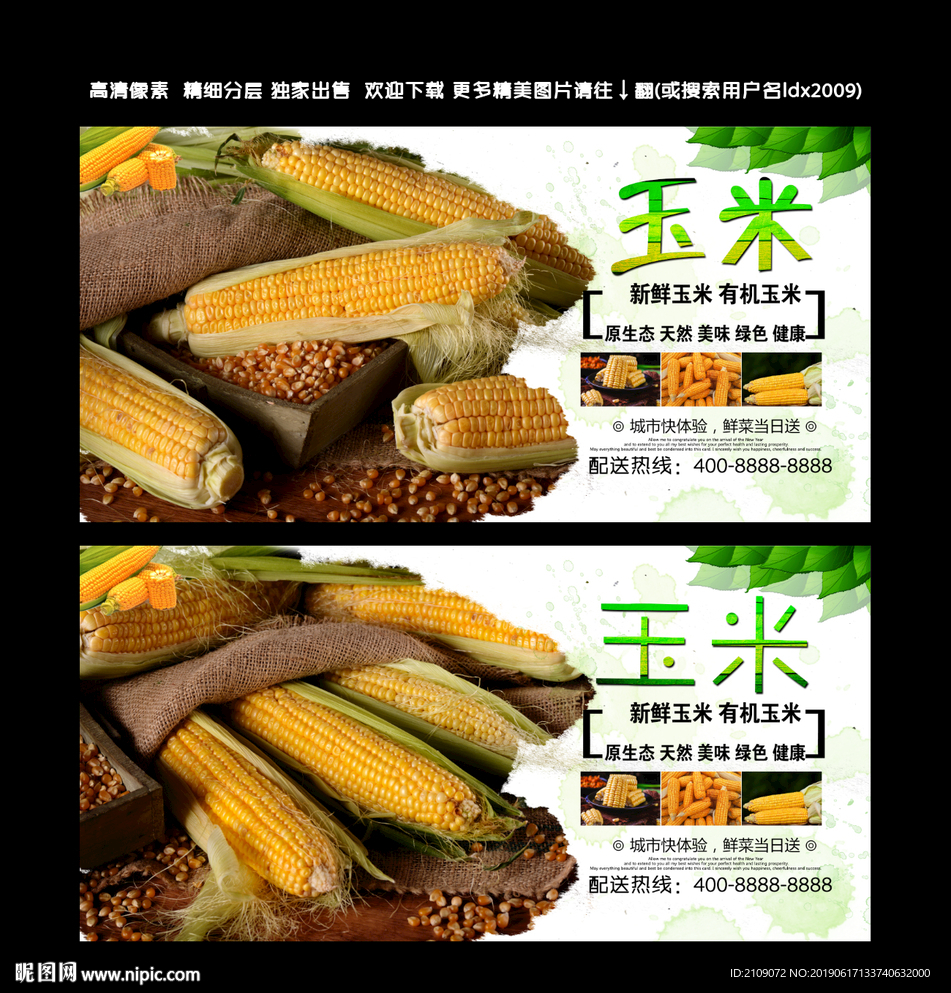 玉米