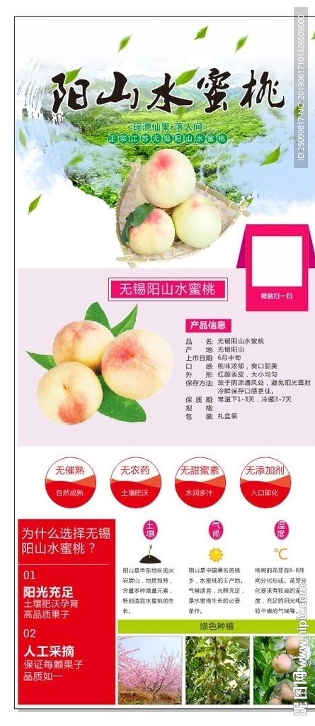 水蜜桃展架