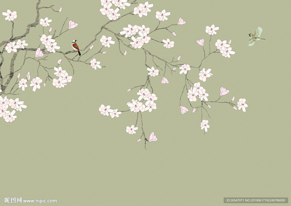 玉兰花