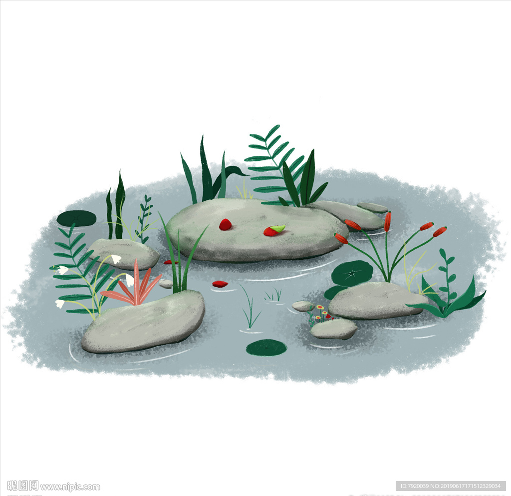 小池塘插画植物