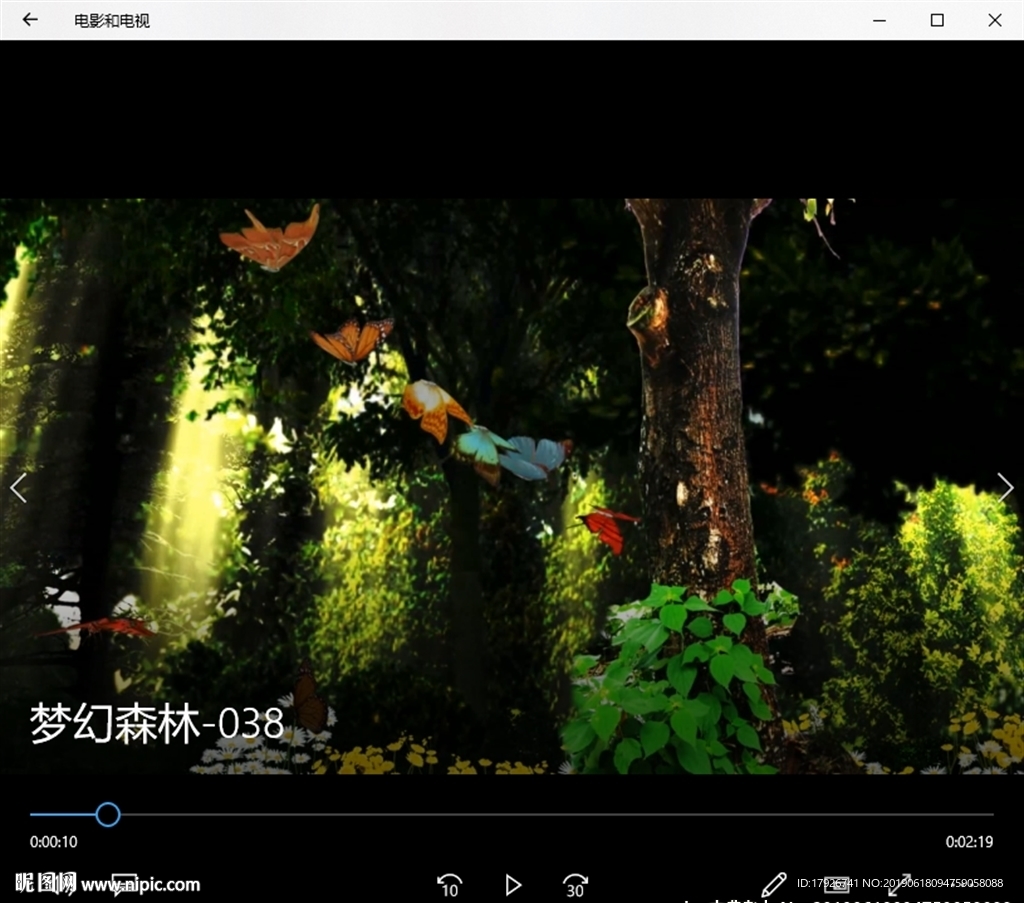 森林蝴蝶