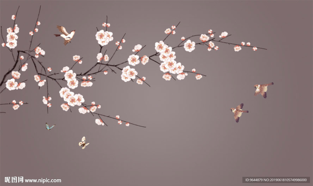 花鸟