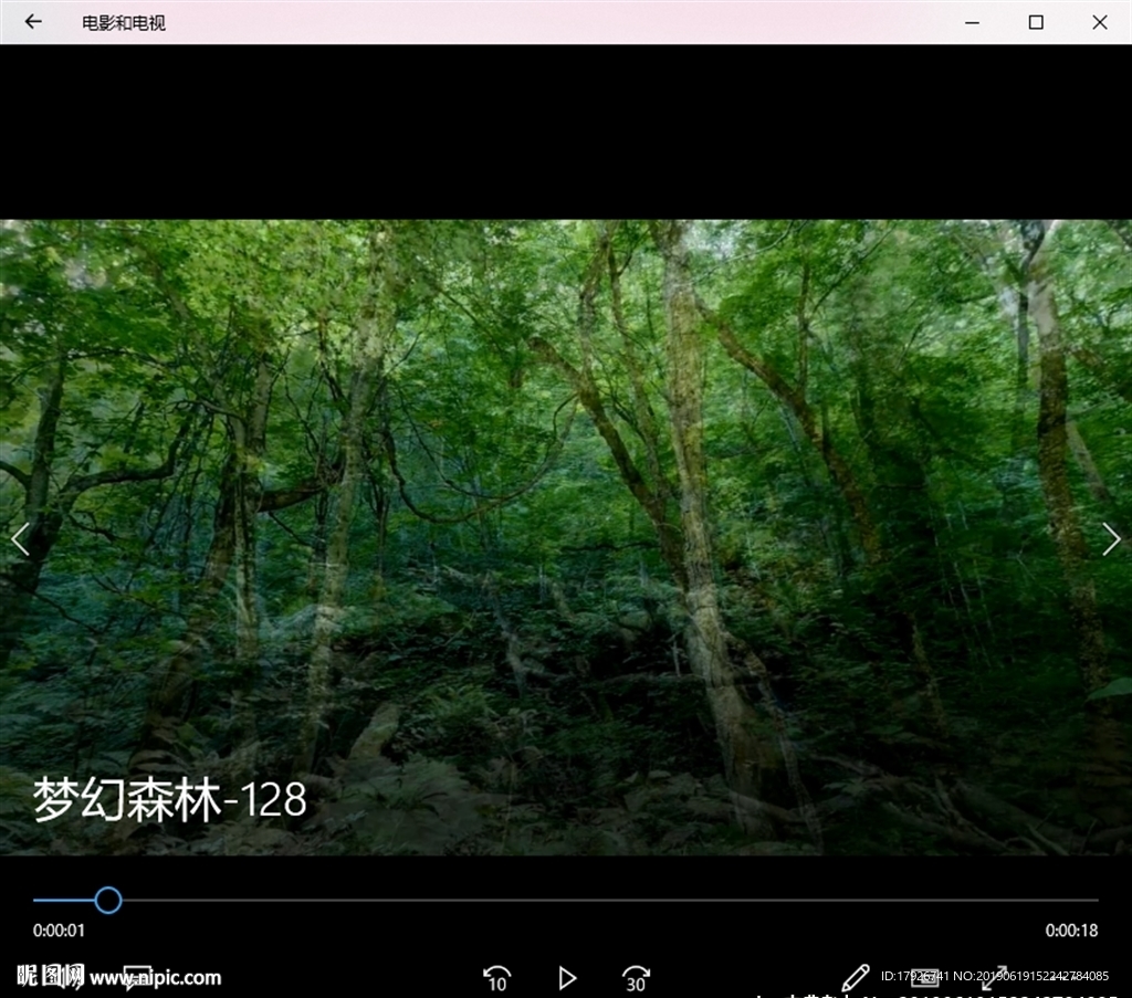 森林丛林