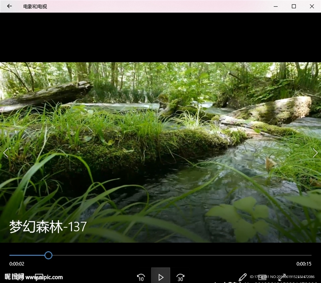 森林溪水