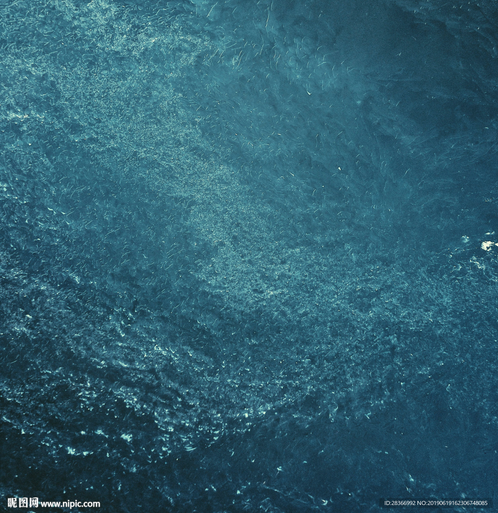 海水