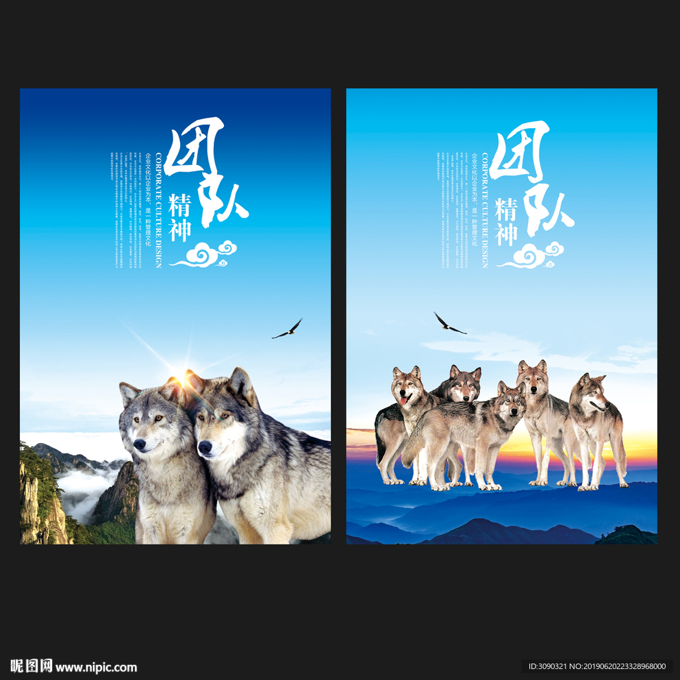 团队