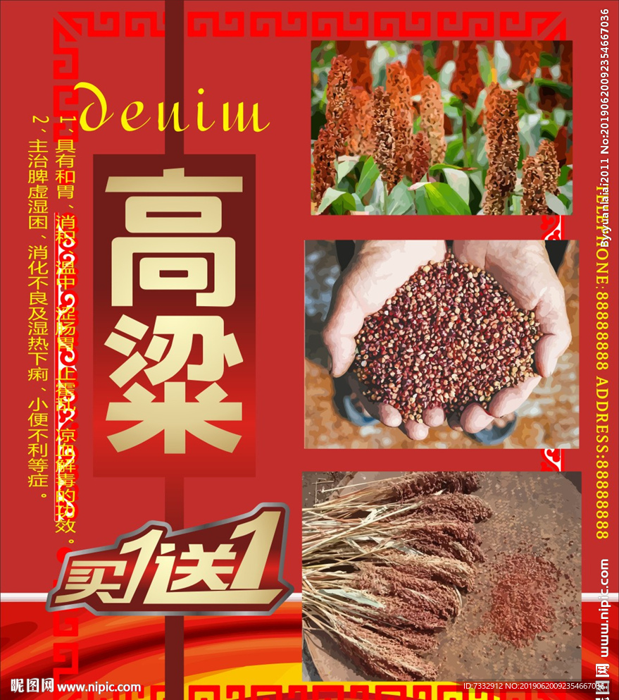 高粱
