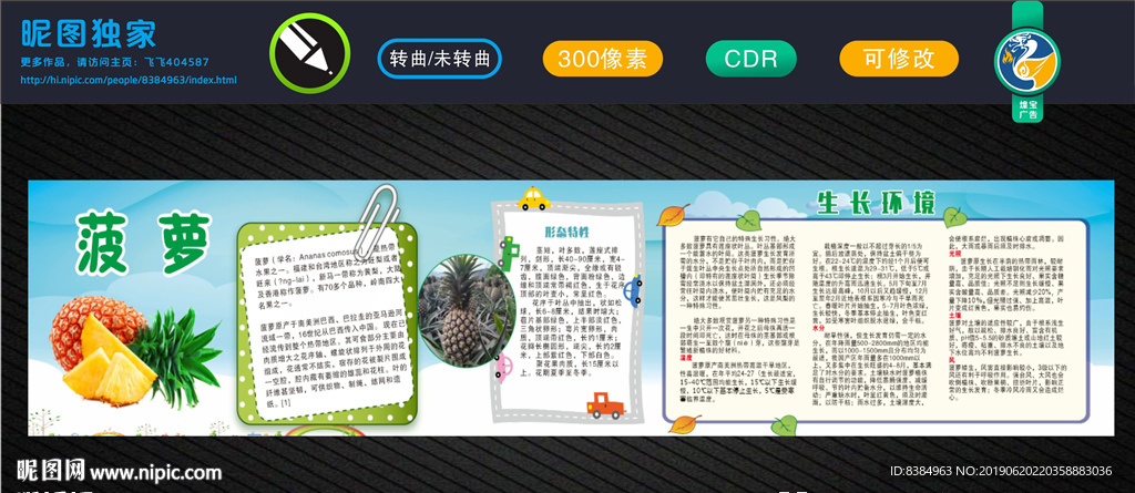 菠萝 凤梨 菠萝灯箱 菠萝种植