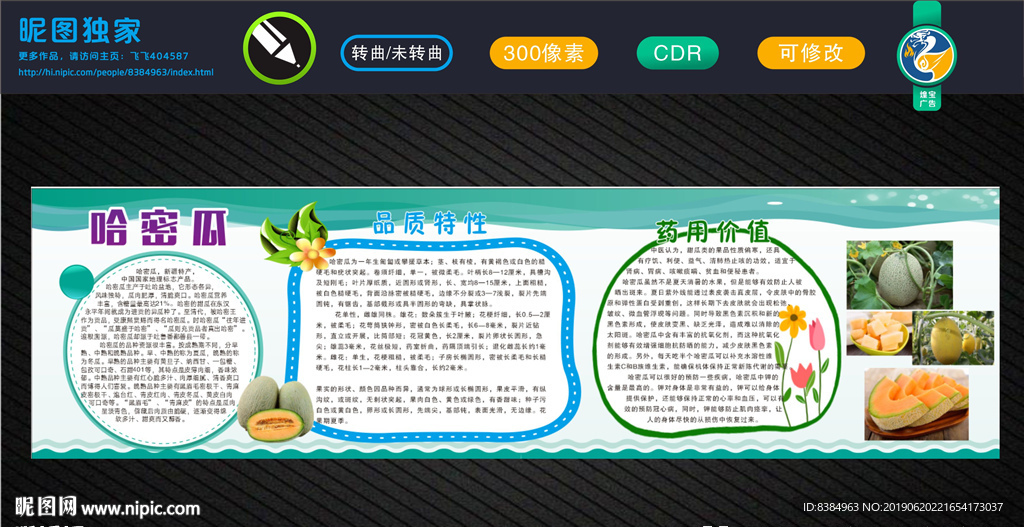 哈密瓜种植  采摘哈密瓜 瓜果