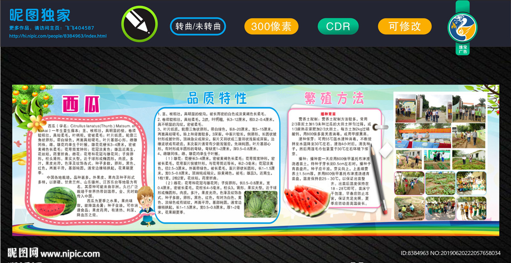 西瓜种植 西瓜图片 西瓜海报