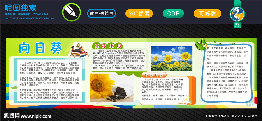 向日葵 新鲜水果 水果海报