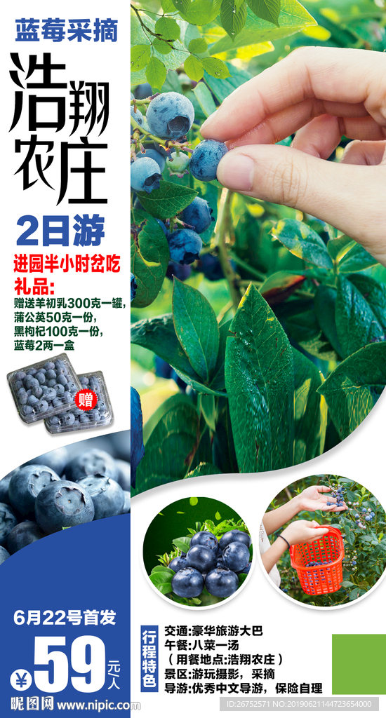 蓝莓