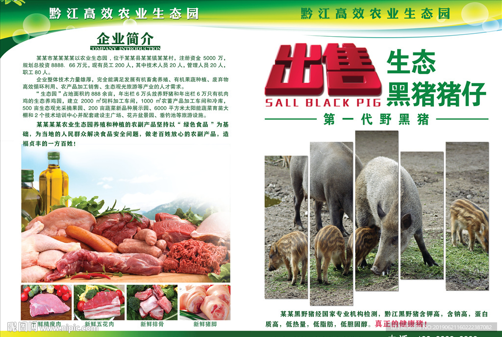 出售猪仔