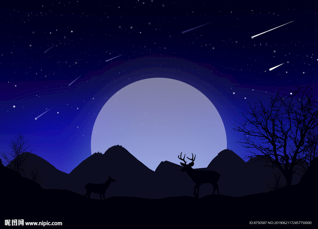 唯美星空  山谷