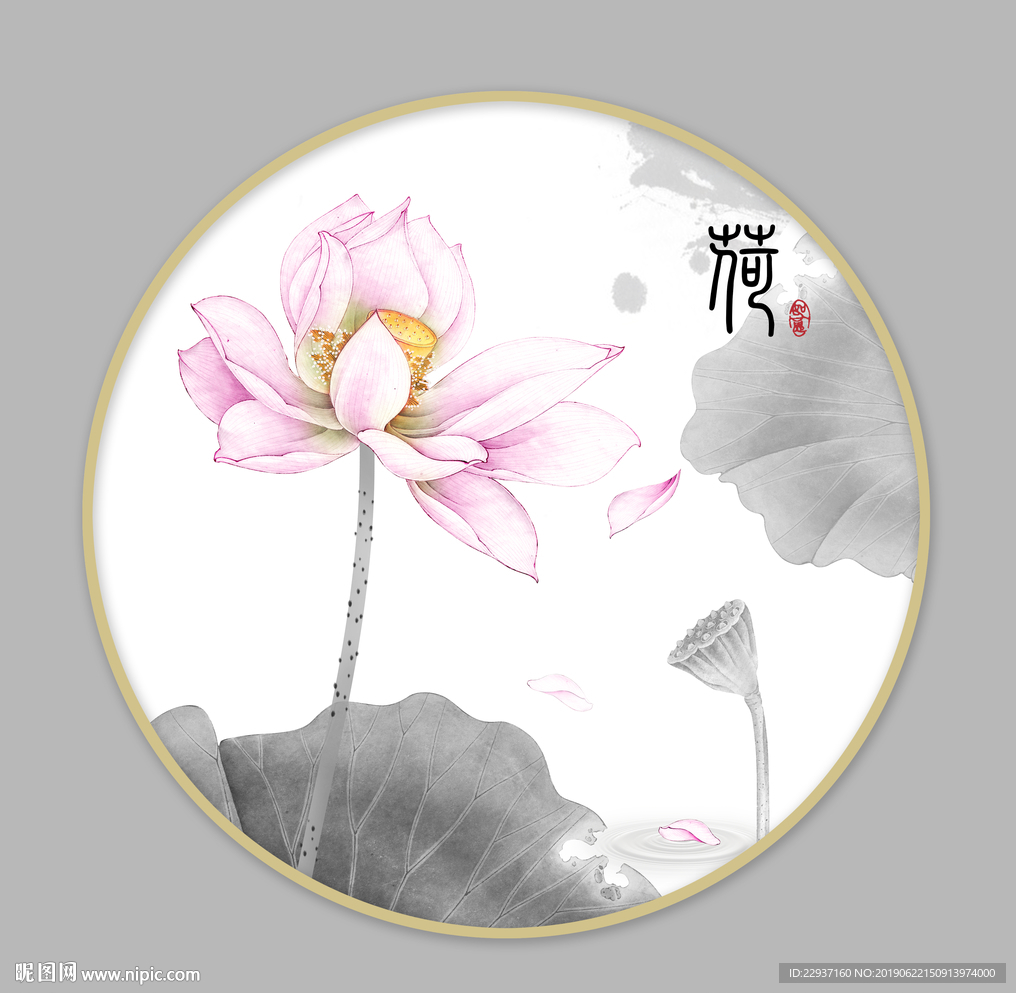 荷花