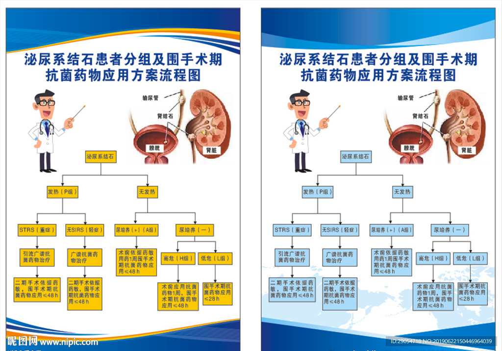 泌尿系结石患者药物应用方案流程